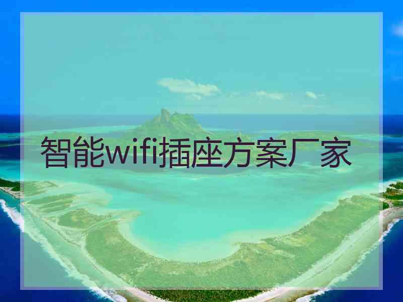 智能wifi插座方案厂家