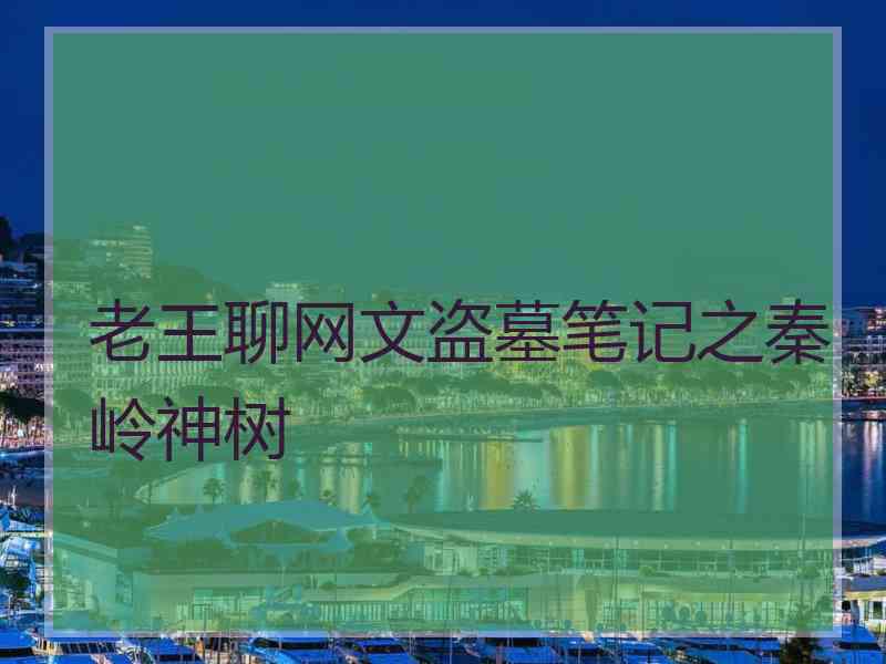 老王聊网文盗墓笔记之秦岭神树