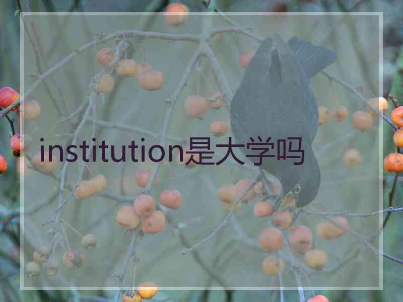 institution是大学吗