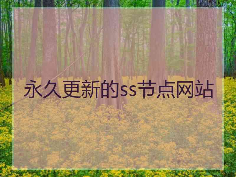 永久更新的ss节点网站