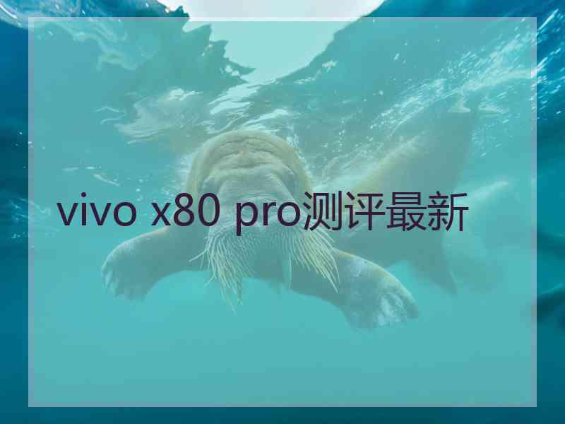 vivo x80 pro测评最新