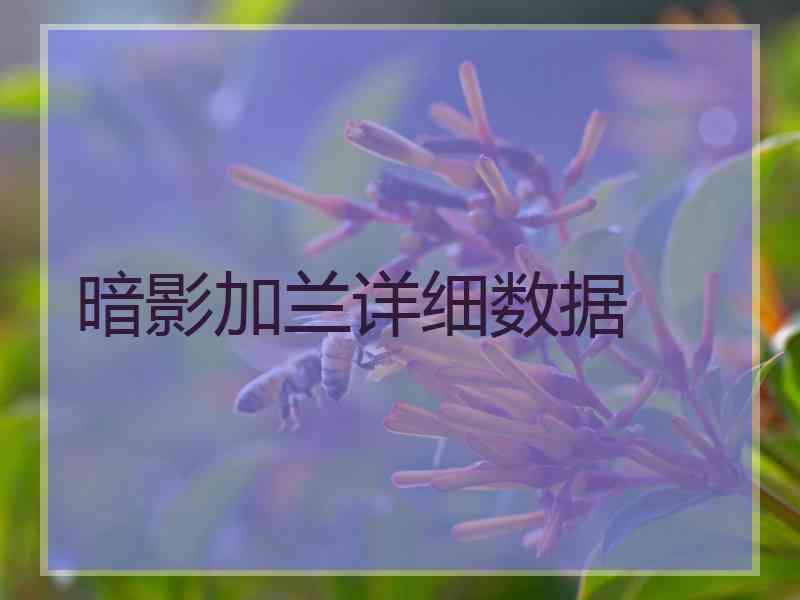 暗影加兰详细数据