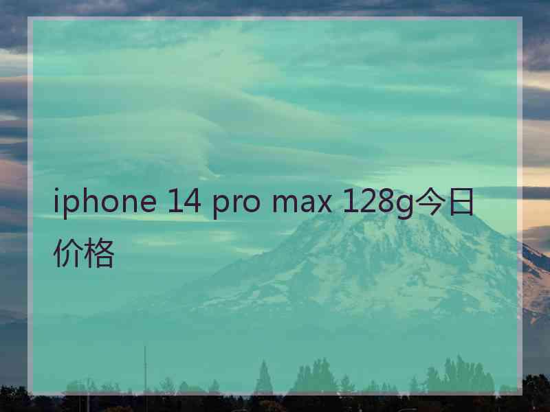 iphone 14 pro max 128g今日价格