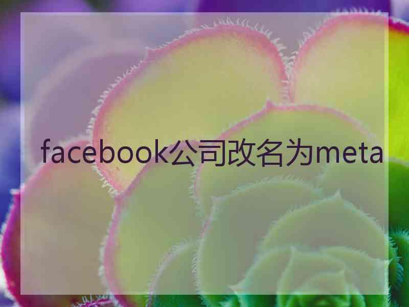 facebook公司改名为meta