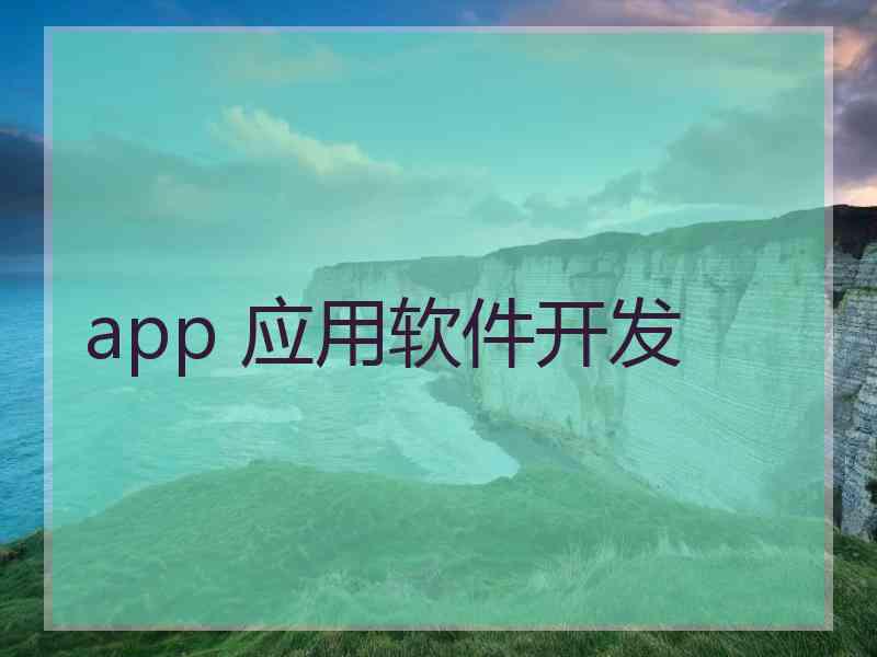 app 应用软件开发