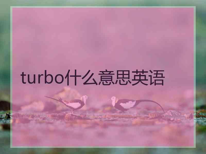 turbo什么意思英语