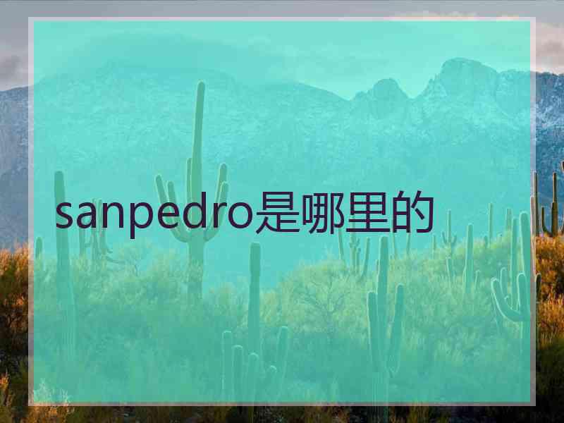 sanpedro是哪里的