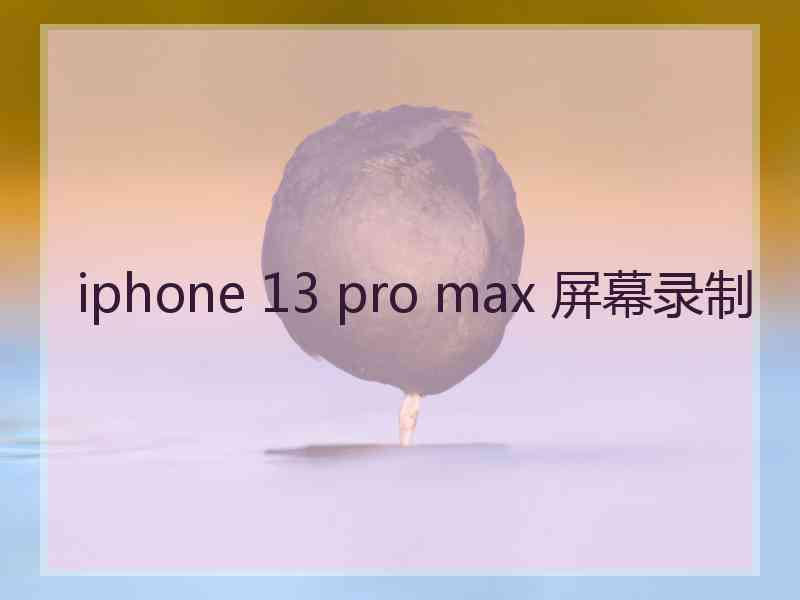 iphone 13 pro max 屏幕录制