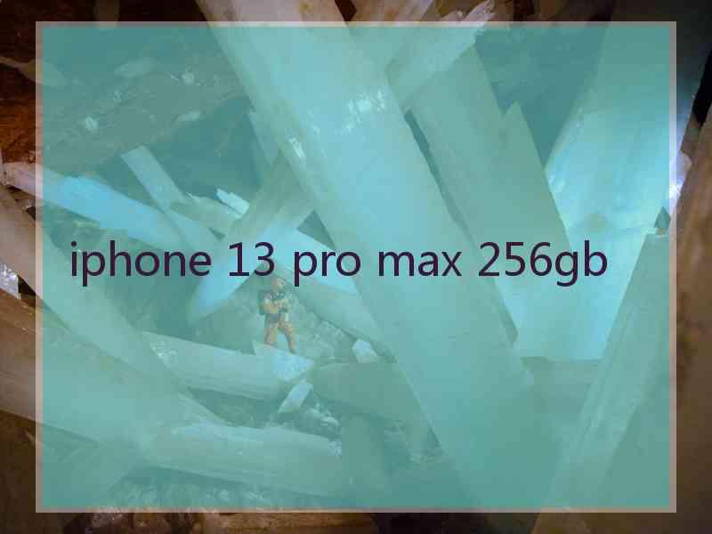 iphone 13 pro max 256gb