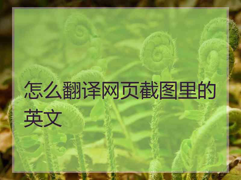 怎么翻译网页截图里的英文