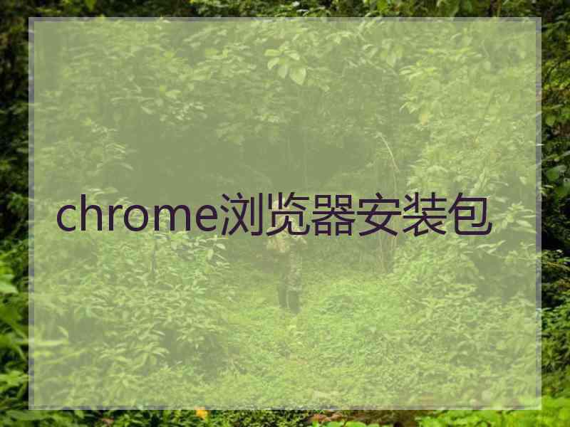 chrome浏览器安装包