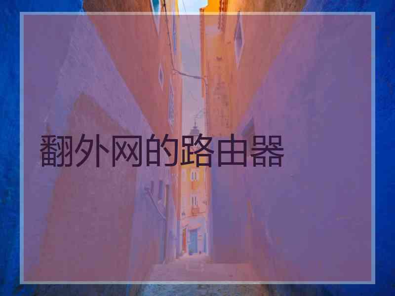 翻外网的路由器