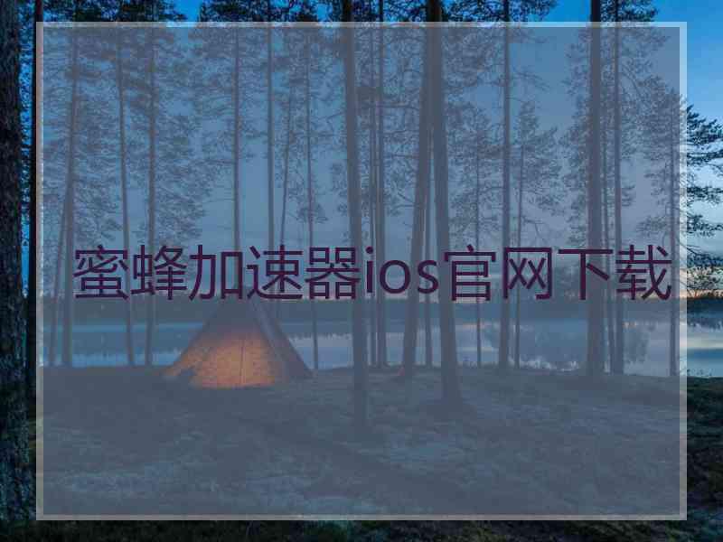 蜜蜂加速器ios官网下载