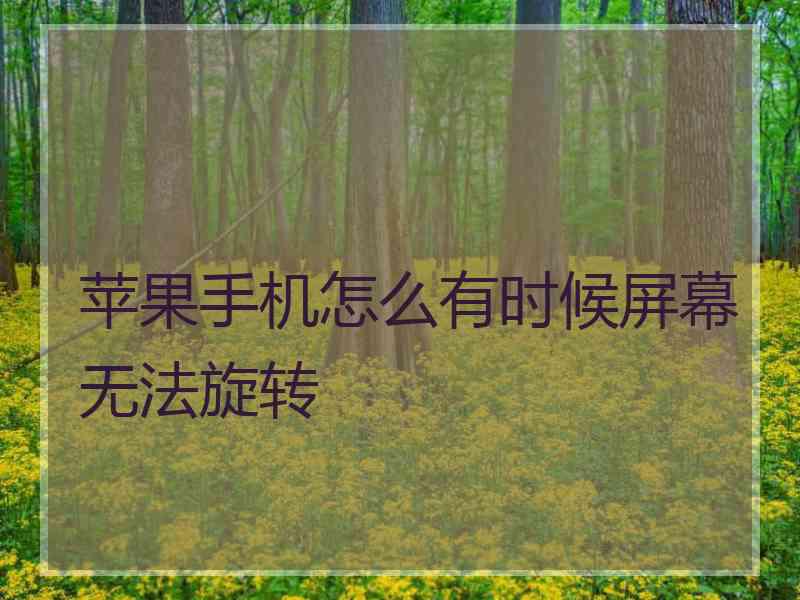 苹果手机怎么有时候屏幕无法旋转