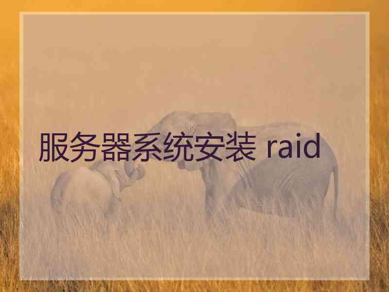 服务器系统安装 raid