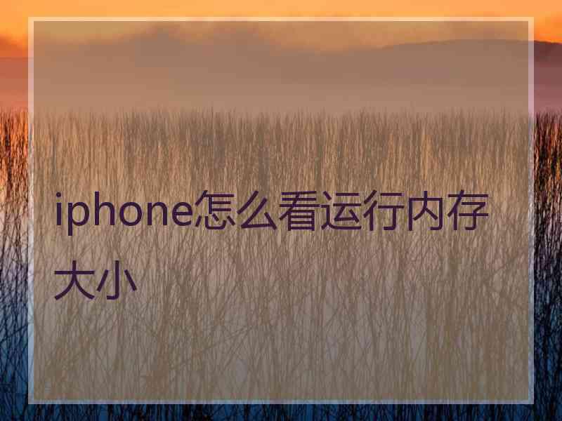 iphone怎么看运行内存大小