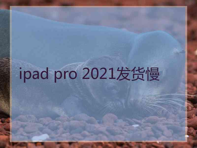 ipad pro 2021发货慢