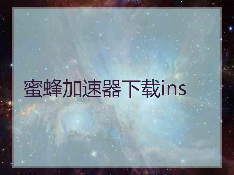 蜜蜂加速器下载ins