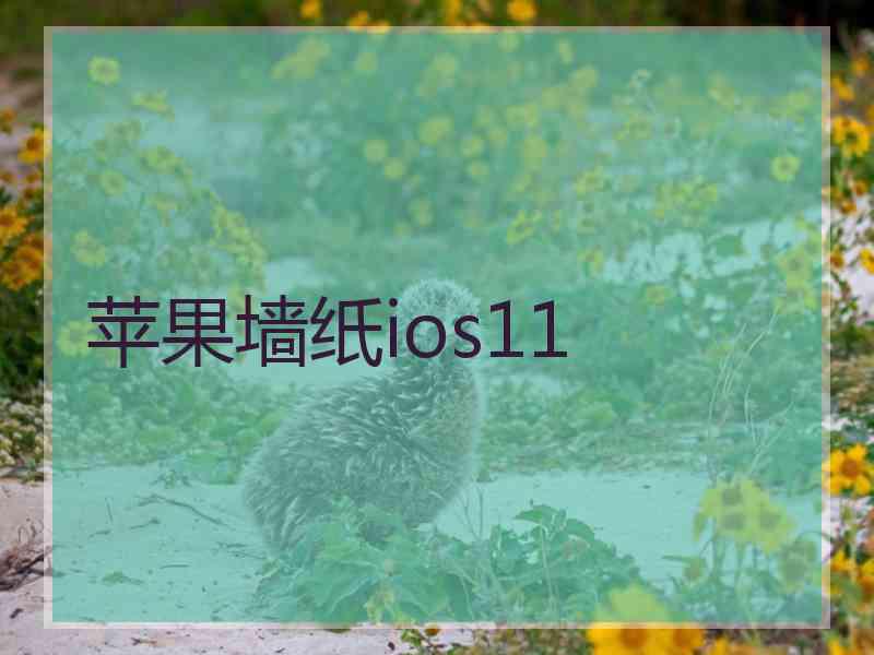 苹果墙纸ios11