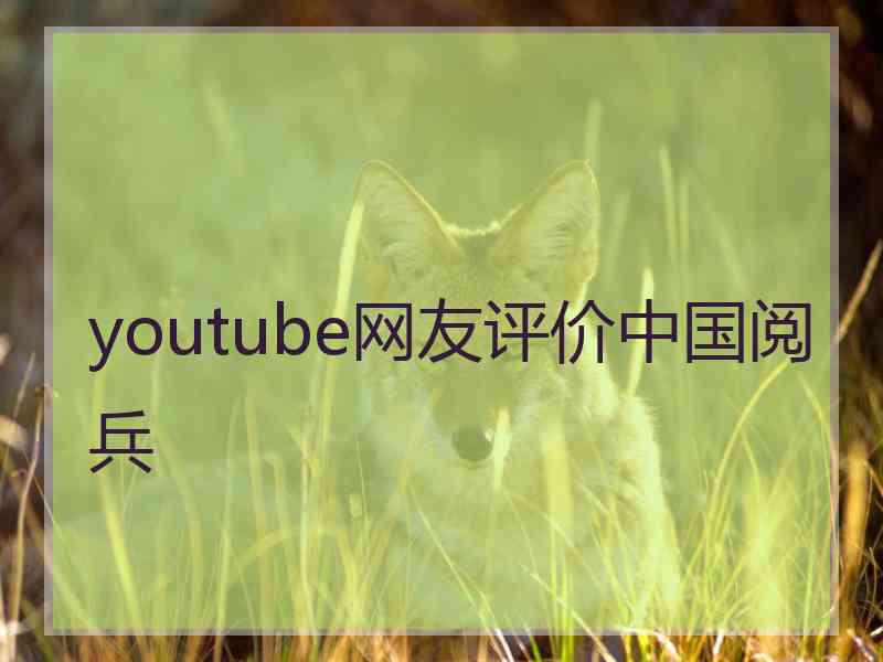 youtube网友评价中国阅兵