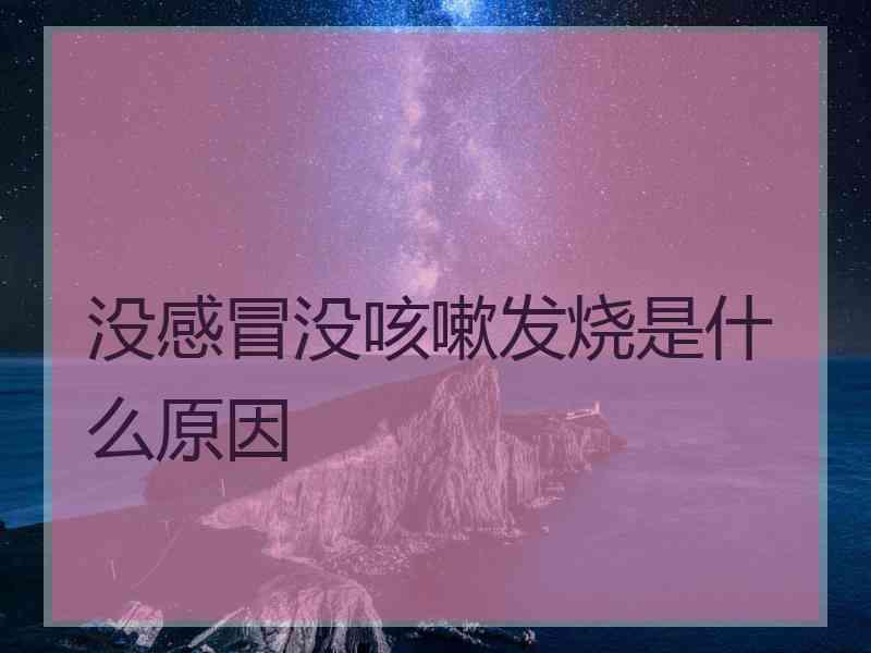 没感冒没咳嗽发烧是什么原因