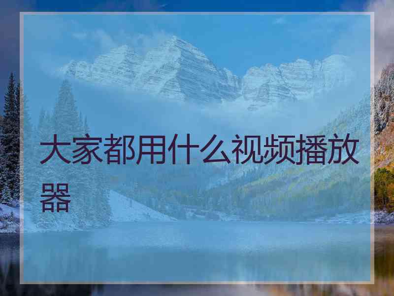 大家都用什么视频播放器