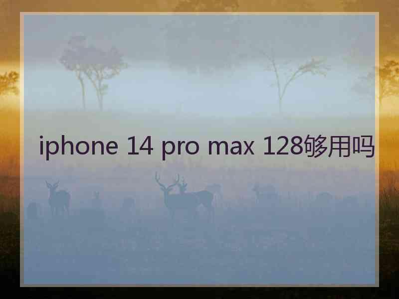 iphone 14 pro max 128够用吗