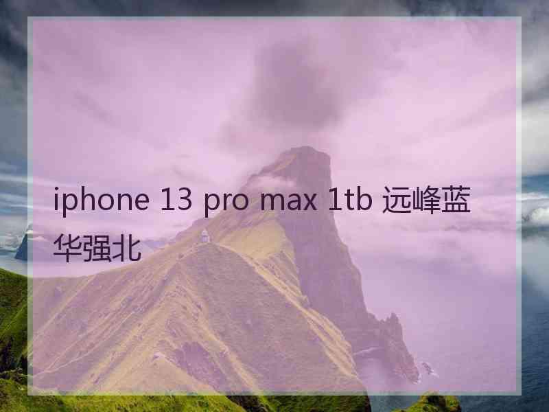 iphone 13 pro max 1tb 远峰蓝华强北