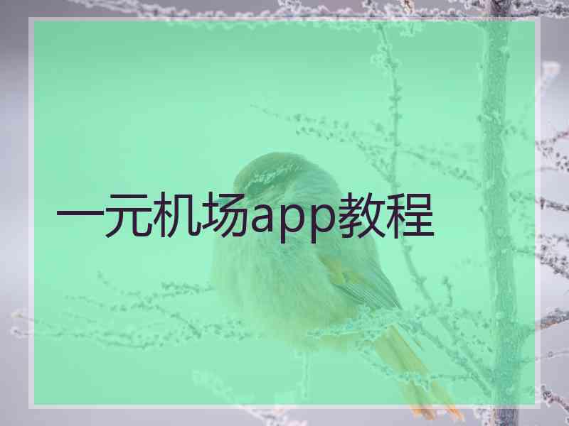 一元机场app教程