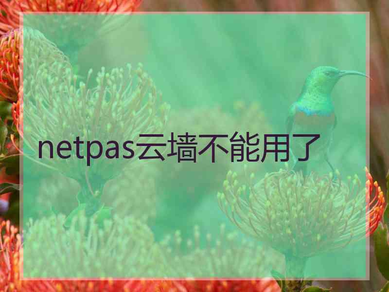 netpas云墙不能用了