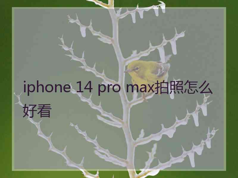 iphone 14 pro max拍照怎么好看