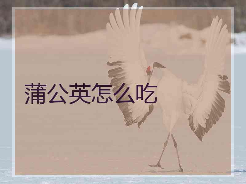 蒲公英怎么吃