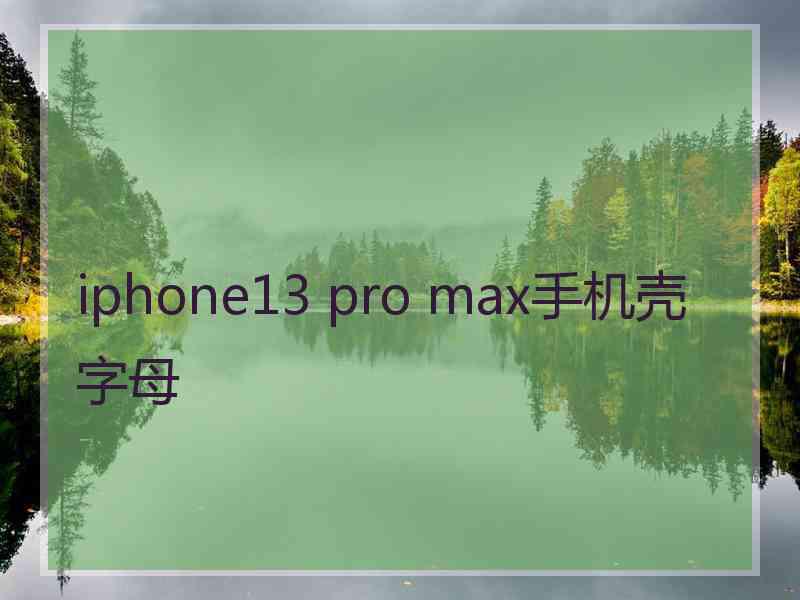 iphone13 pro max手机壳字母