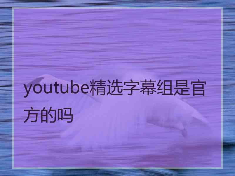 youtube精选字幕组是官方的吗