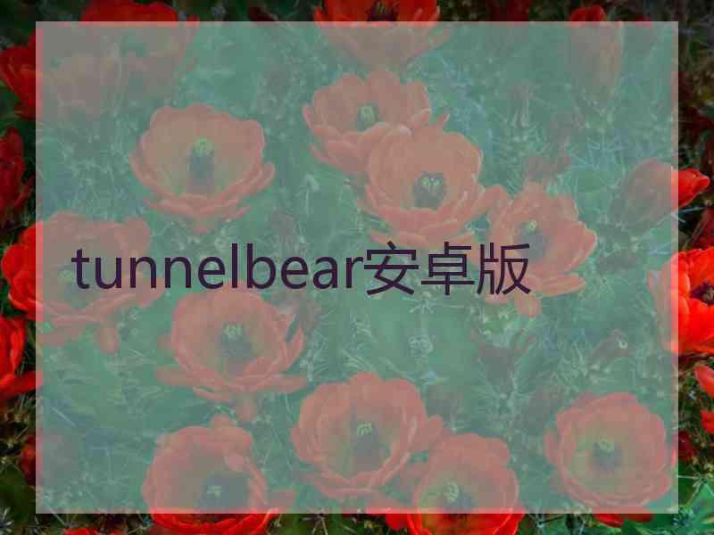 tunnelbear安卓版