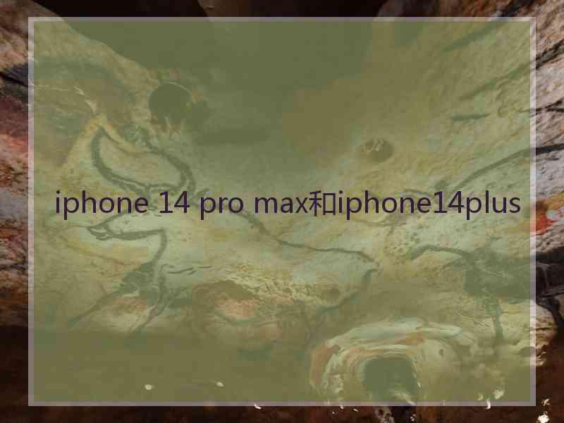 iphone 14 pro max和iphone14plus