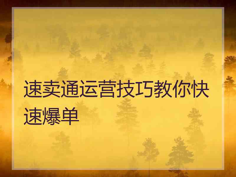 速卖通运营技巧教你快速爆单