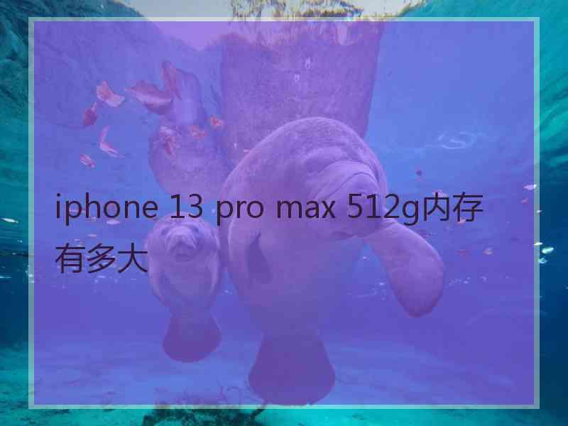 iphone 13 pro max 512g内存有多大