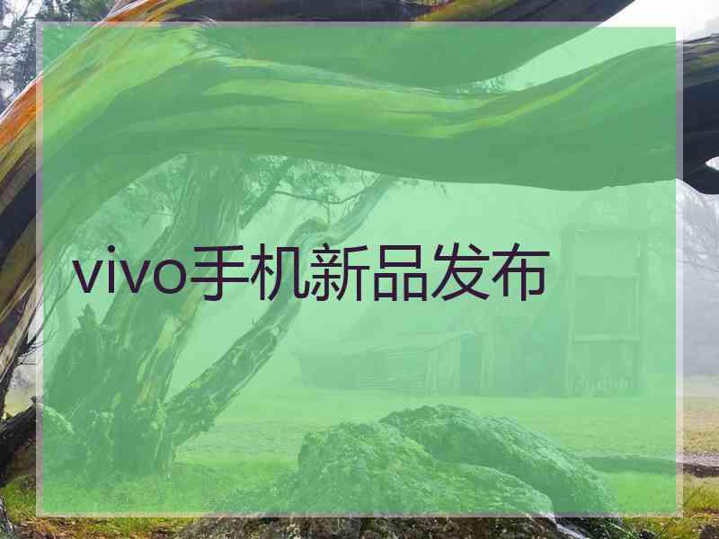 vivo手机新品发布