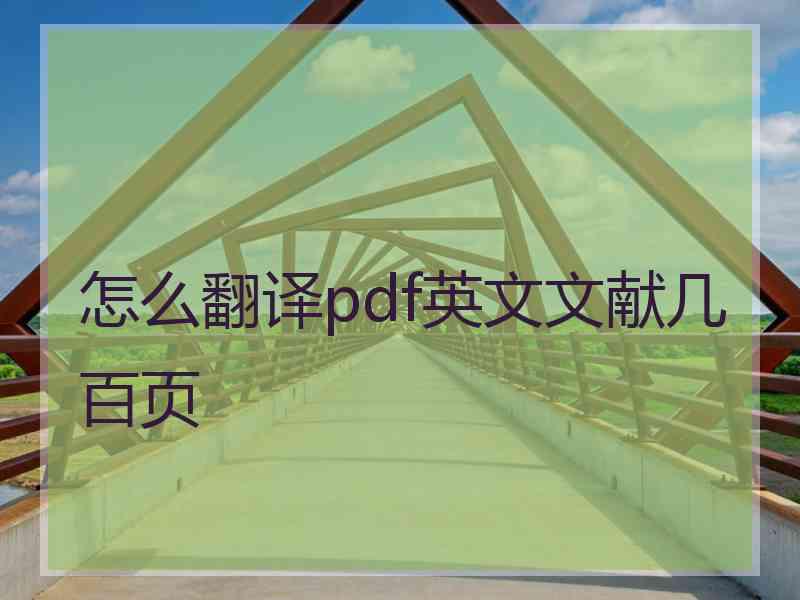 怎么翻译pdf英文文献几百页