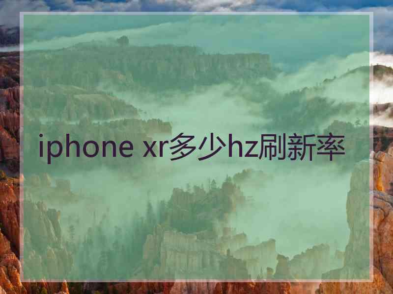 iphone xr多少hz刷新率