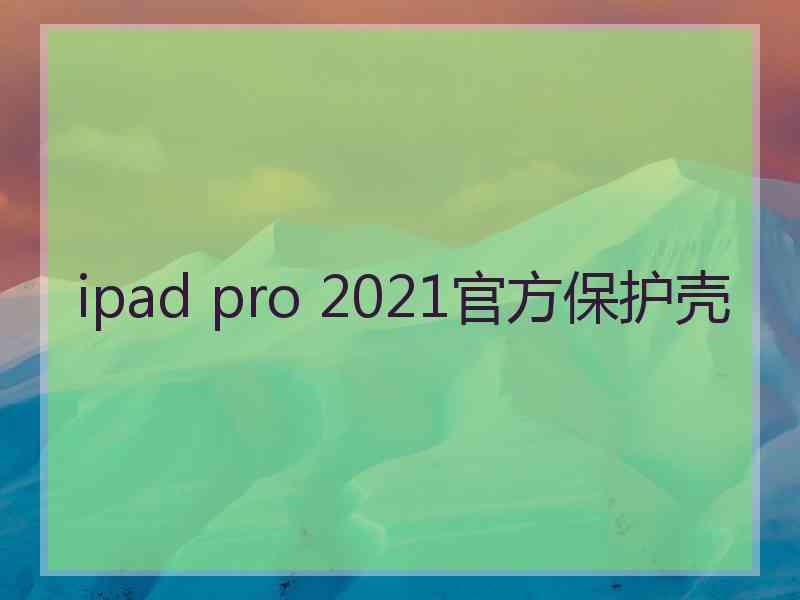 ipad pro 2021官方保护壳