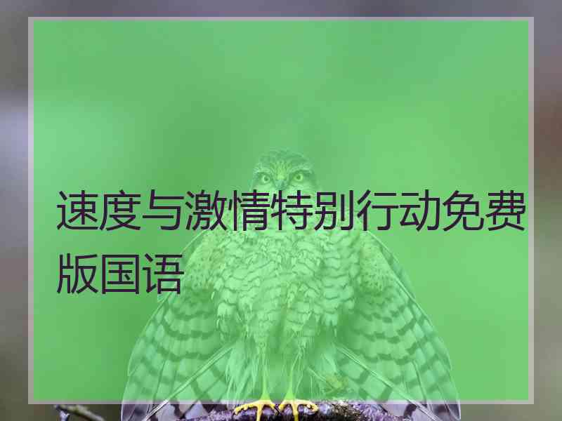 速度与激情特别行动免费版国语