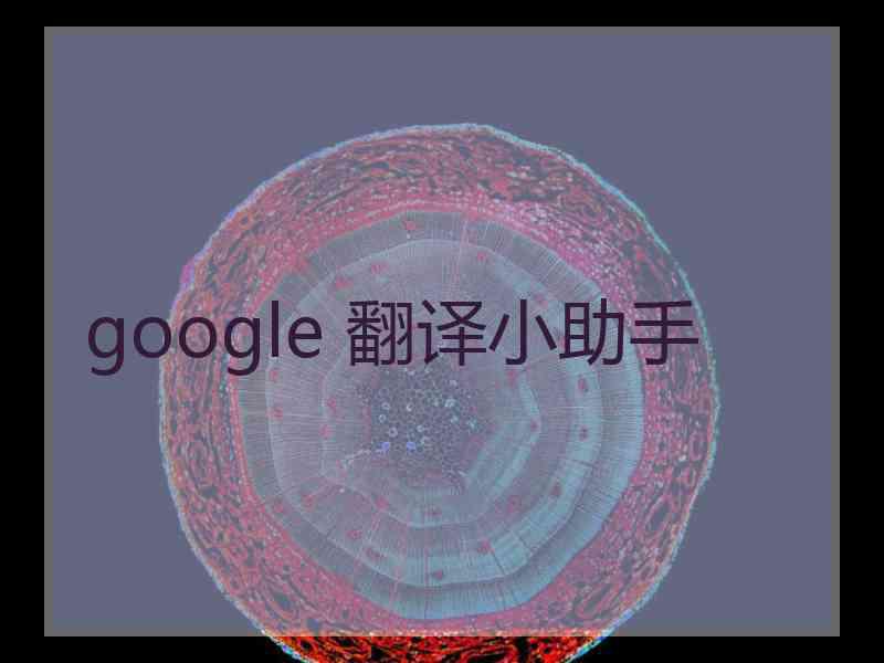 google 翻译小助手