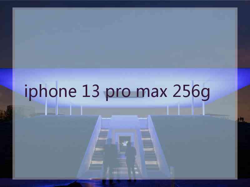 iphone 13 pro max 256g