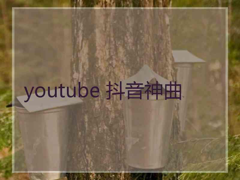 youtube 抖音神曲