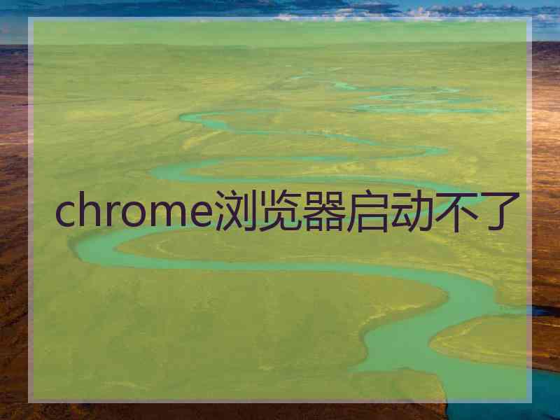 chrome浏览器启动不了