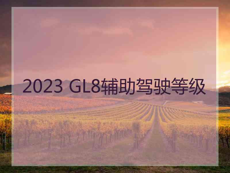 2023 GL8辅助驾驶等级