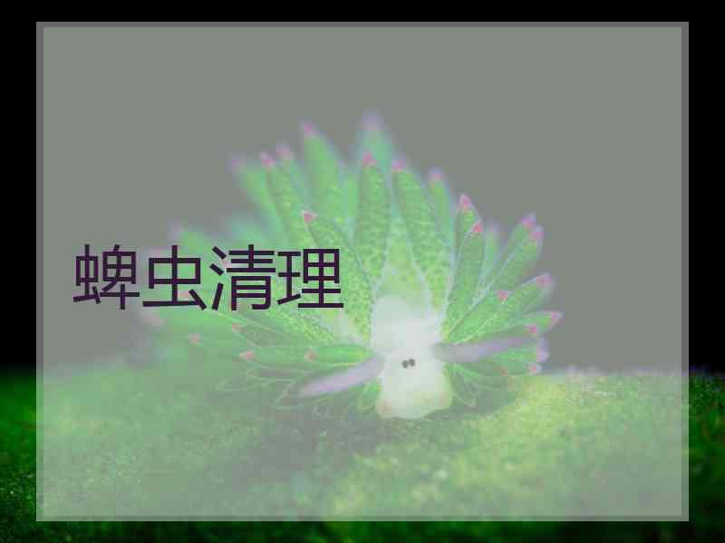 蜱虫清理