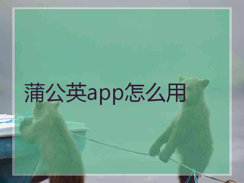 蒲公英app怎么用